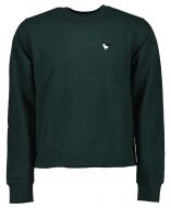 Revolution sweater - Slim fit - groen